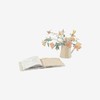 STOU-มาอ่านหนังสือกัน