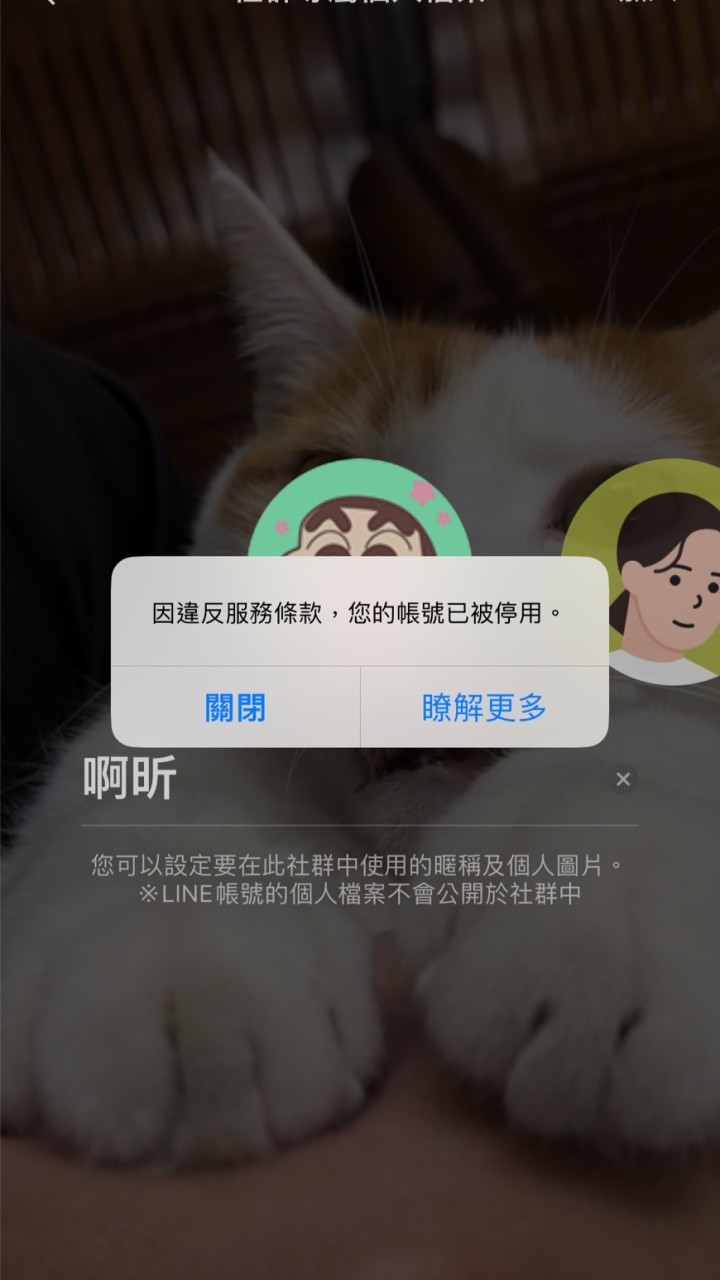 家寶四人組
