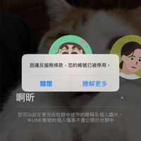 家寶四人組