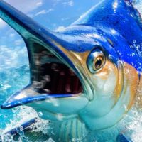 「Fishing master歡樂釣王傳奇」玩家討論區