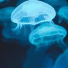【相談&悩み】+α雑談¨̮🪼はうるの海