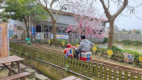 【桃園景點】向陽農場-可以採花、餵動物、烤肉以及多項好玩兒童設施的親子農場