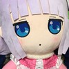 ぬいぐるみ好き歓迎！🧸