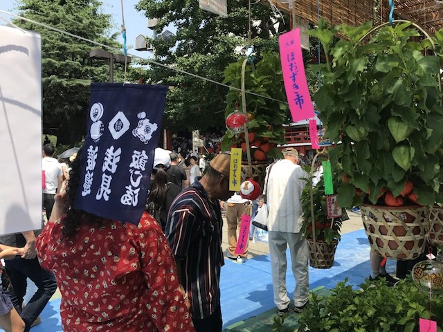 淺草酸漿花市 5