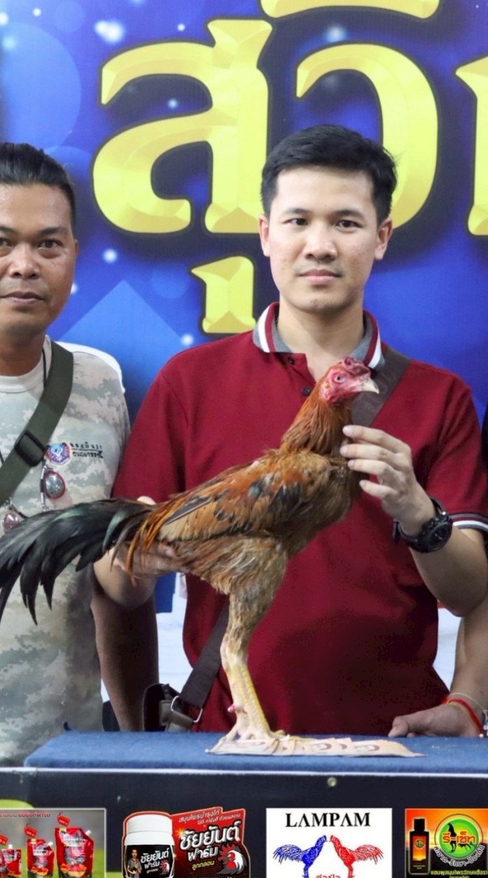 นาชิฟาร์ม