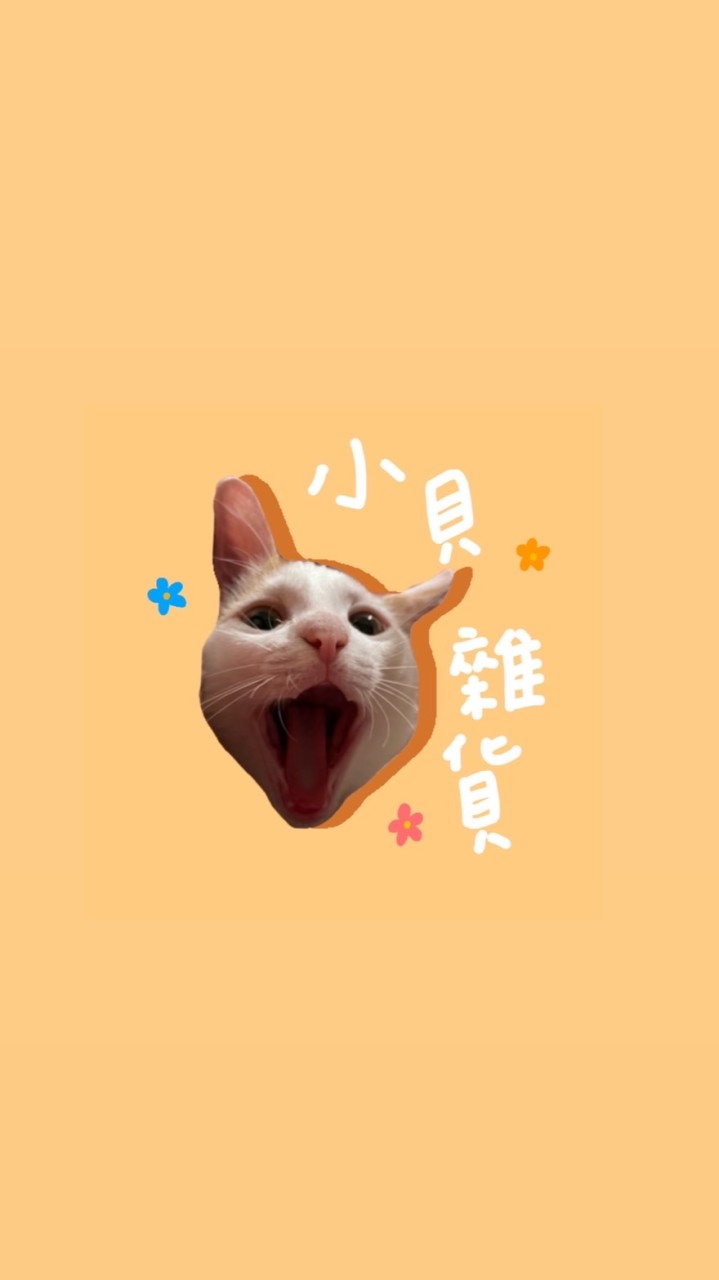 小貝雜貨 🐈