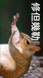 203旅第一營工兵連教召