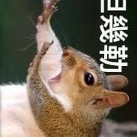 203旅第一營工兵連教召