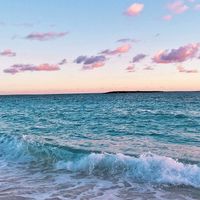 Mermaid JJK au | THAI AU