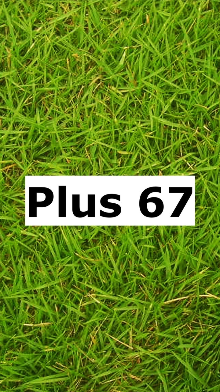 Villagers Plus67