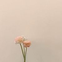 天師府狐僊閣