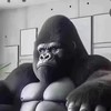 🦍ゴリラ共和国🦍ネイキ