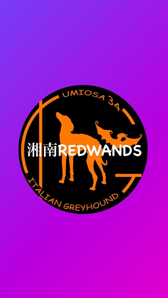 湘南REDWANDS IN 秋の海おさ2022