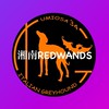 湘南REDWANDS IN 秋の海おさ2022