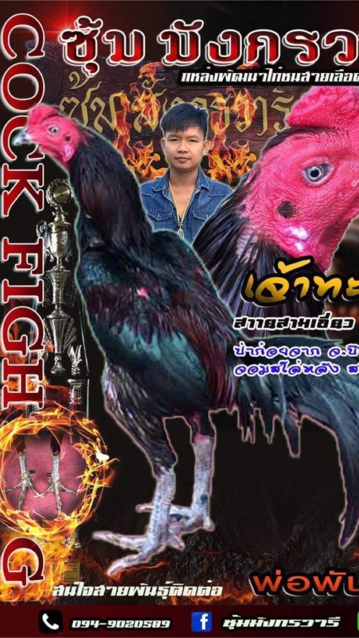 ซุ้มมังกรวารี สามเอี่ยวบึงกาฬ