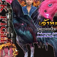 ซุ้มมังกรวารี สามเอี่ยวบึงกาฬ