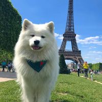 มีความสุขกับการถ่ายภาพ