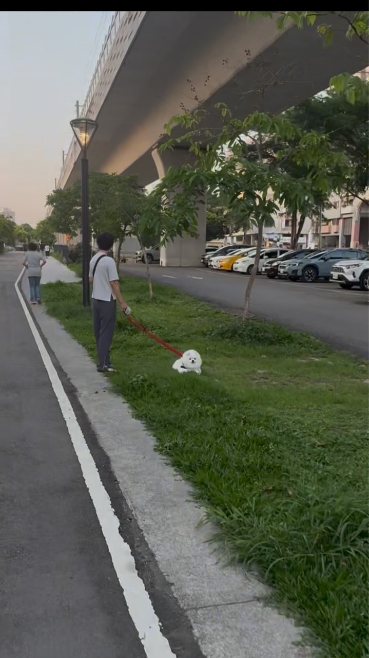 狗在跑 我在曬