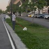 狗在跑 我在曬