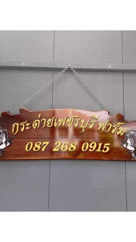 กระต่าย เพชรบุรีฟาร์ม