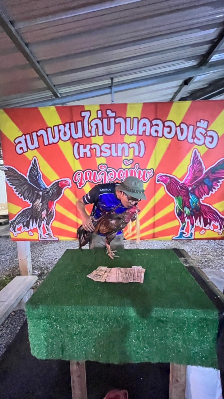ซุ้ม ส.แรงสูง จีระพันธ์ฟาร์ม พัฒนาทายาทสายเลือดไก่ชน