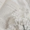 𝒎𝒚 𝒍𝒐𝒗𝒆 芸能人と楽しく恋しよ ？