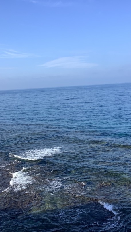 📷生活紀錄