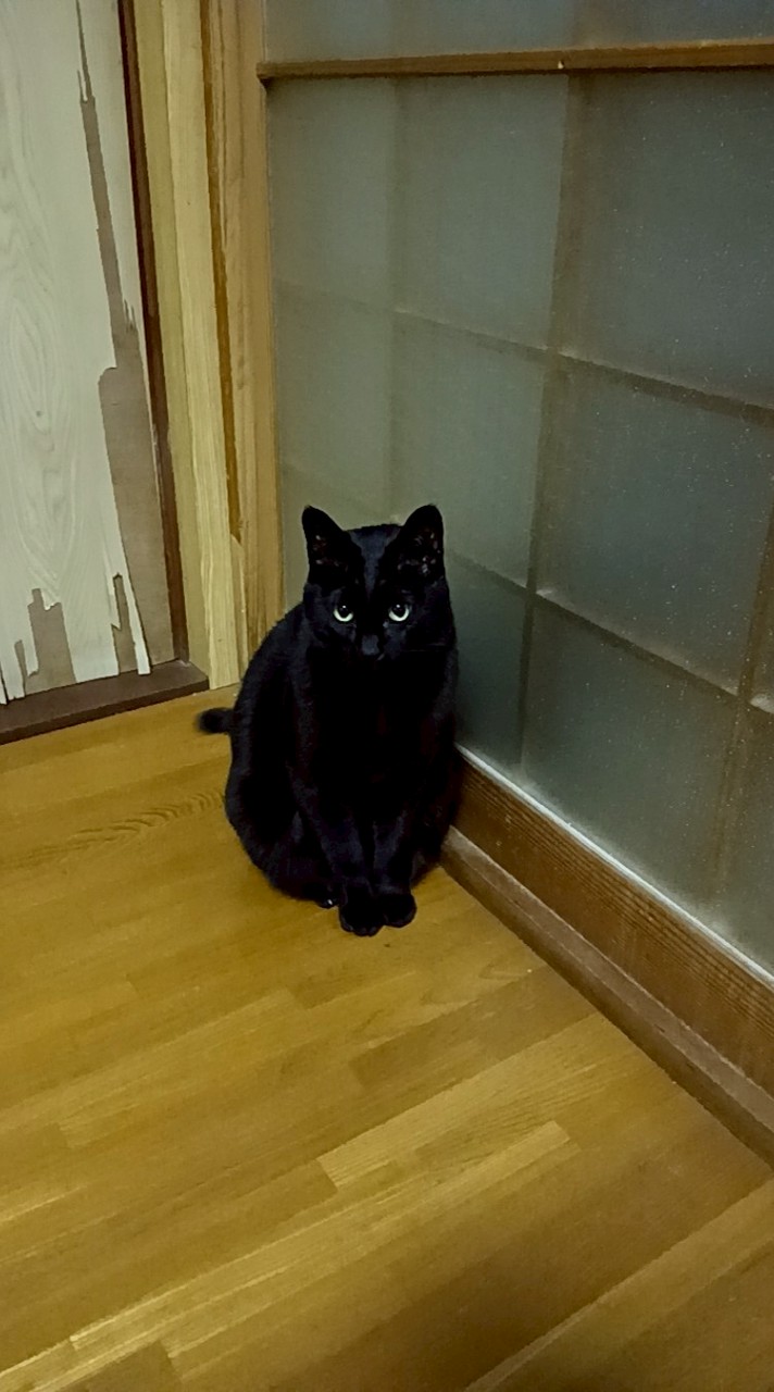 歌、雑談、なんでもしよーぜ
