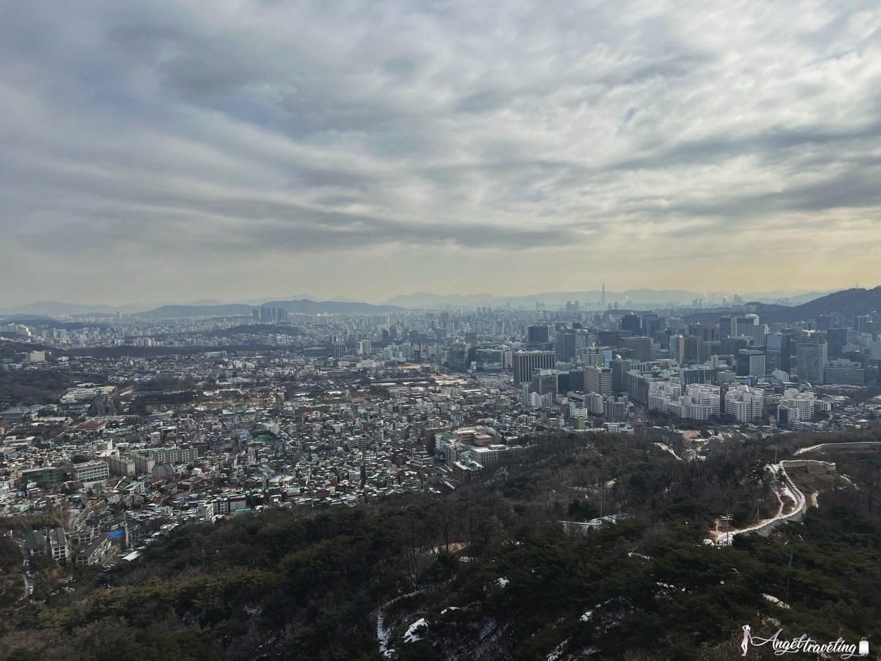 仁王山 仁王山美景