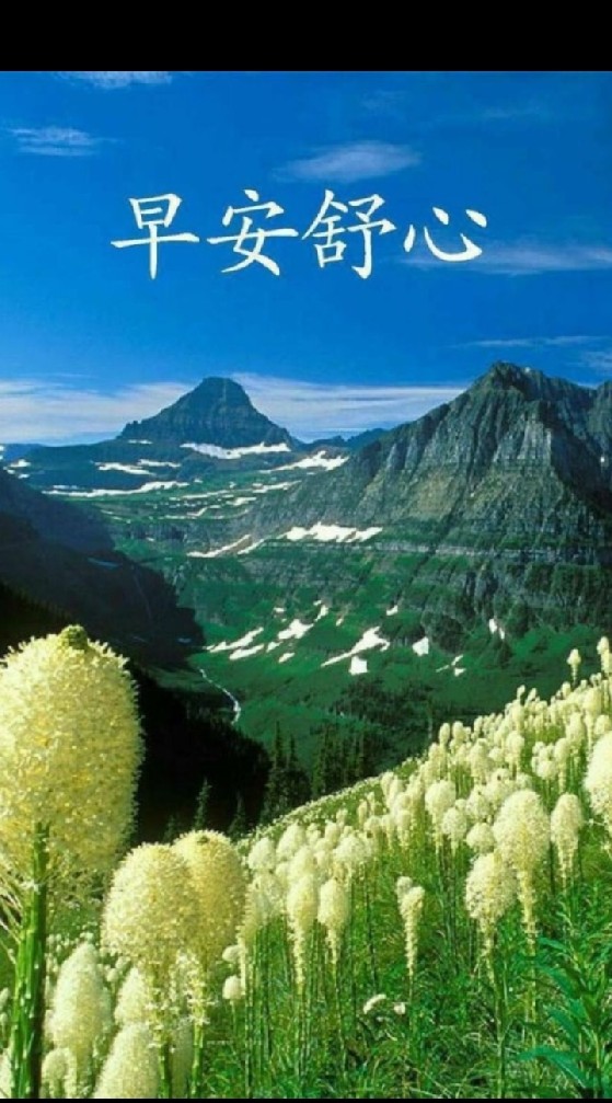 LINE 股票一族