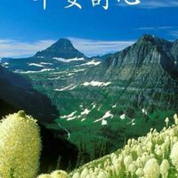 LINE 股票一族