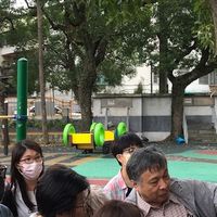 114臺北市樹木碳匯盤查