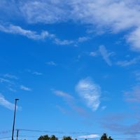 宮崎県北の方交流おぷちゃ！(延岡、日之影町、高千穂、門川、日向、都農)楽しく話そう🎵