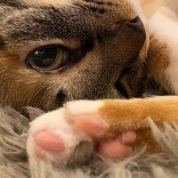 宝探しちゃんねる