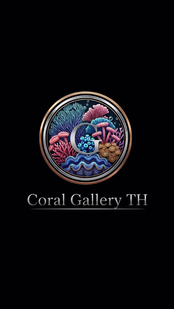 Coral Gallery TH