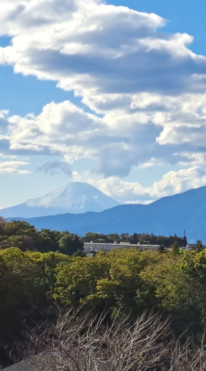 ︎︎みんなで北海道いこ〜！