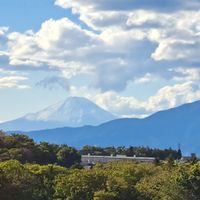 ︎︎みんなで北海道いこ〜！