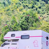 自由自載車泊 露營 社團分享區