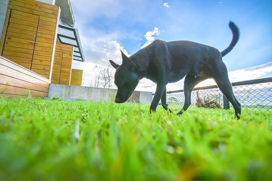 方舟島 @jwpoto(4)