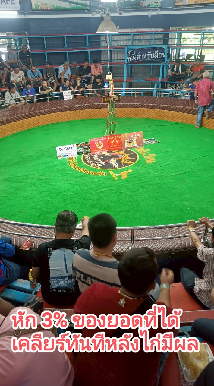 วิถีเซียน 🐓