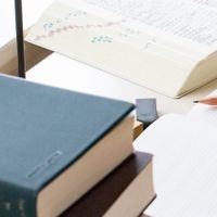 ギフテッド児について語ろう（主に中学生高校生の親向け）