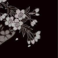 鳳桜！