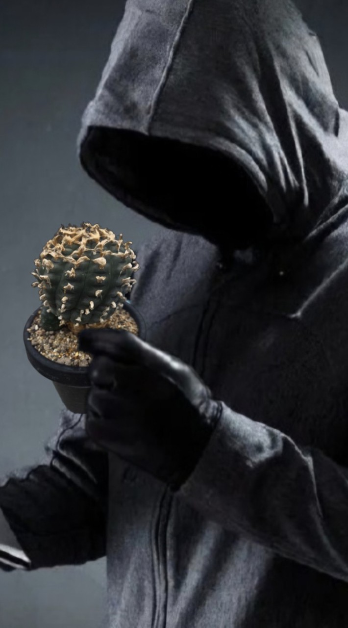 เช็คScammer Cactus ชาวต่างชาติ