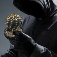 เช็คScammer Cactus ชาวต่างชาติ