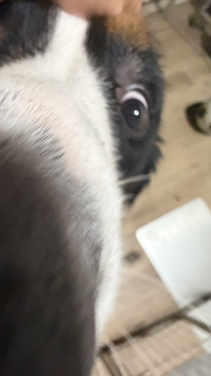 るあ