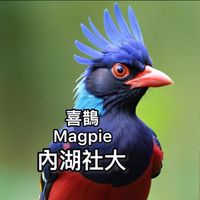 內湖社大，晚上，手機教學，楊老師