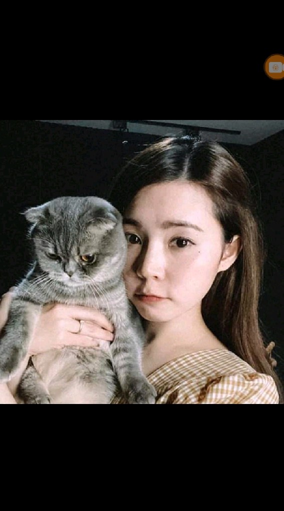 เเป้ง
