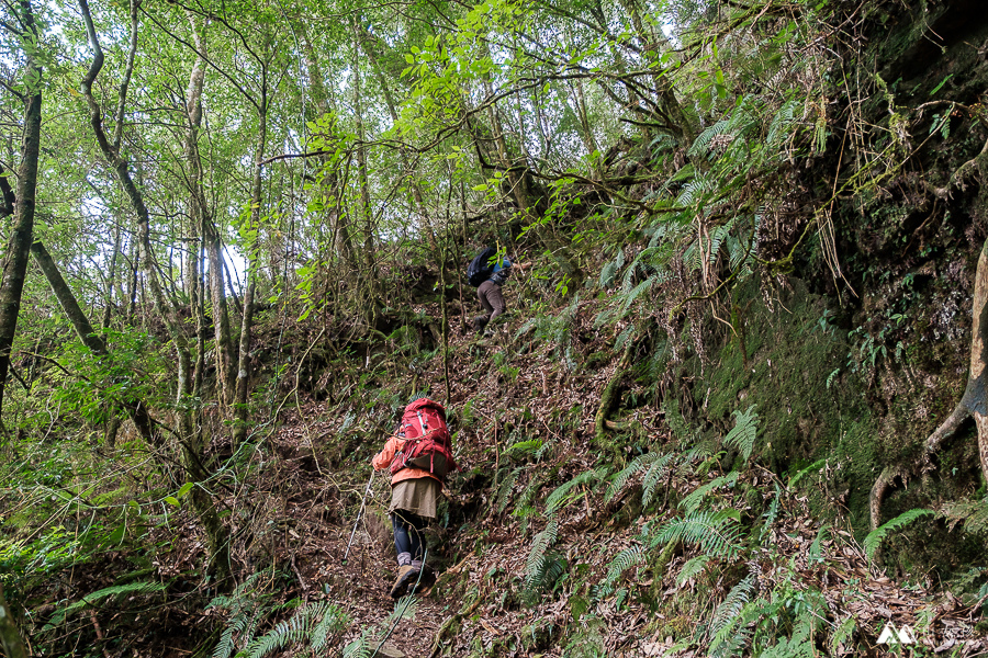 山女孩Melissa_西巒大山-7467.jpg