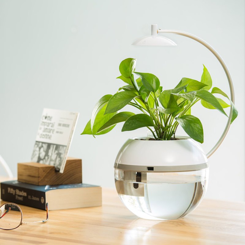 Herb&Fish® 植物、魚、消化菌 魚草共生 獲得兩岸設計多項 居家、辦公室的療癒擺設