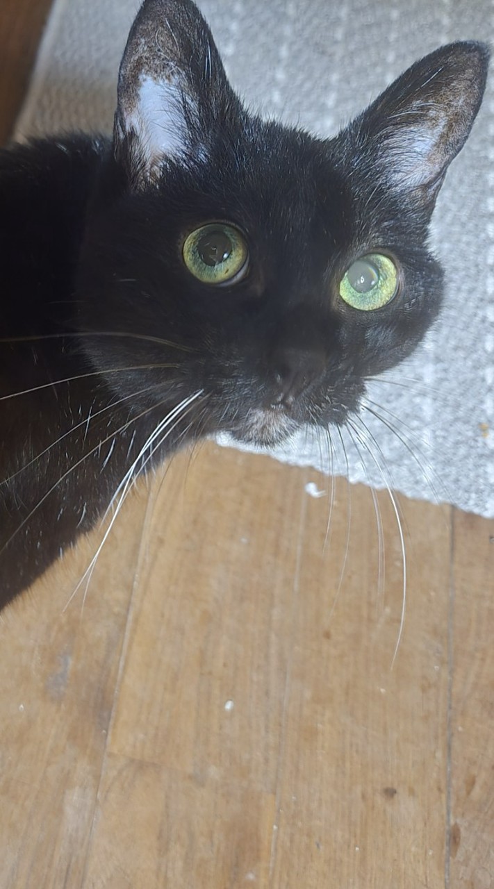 モフラビカフェ♥️